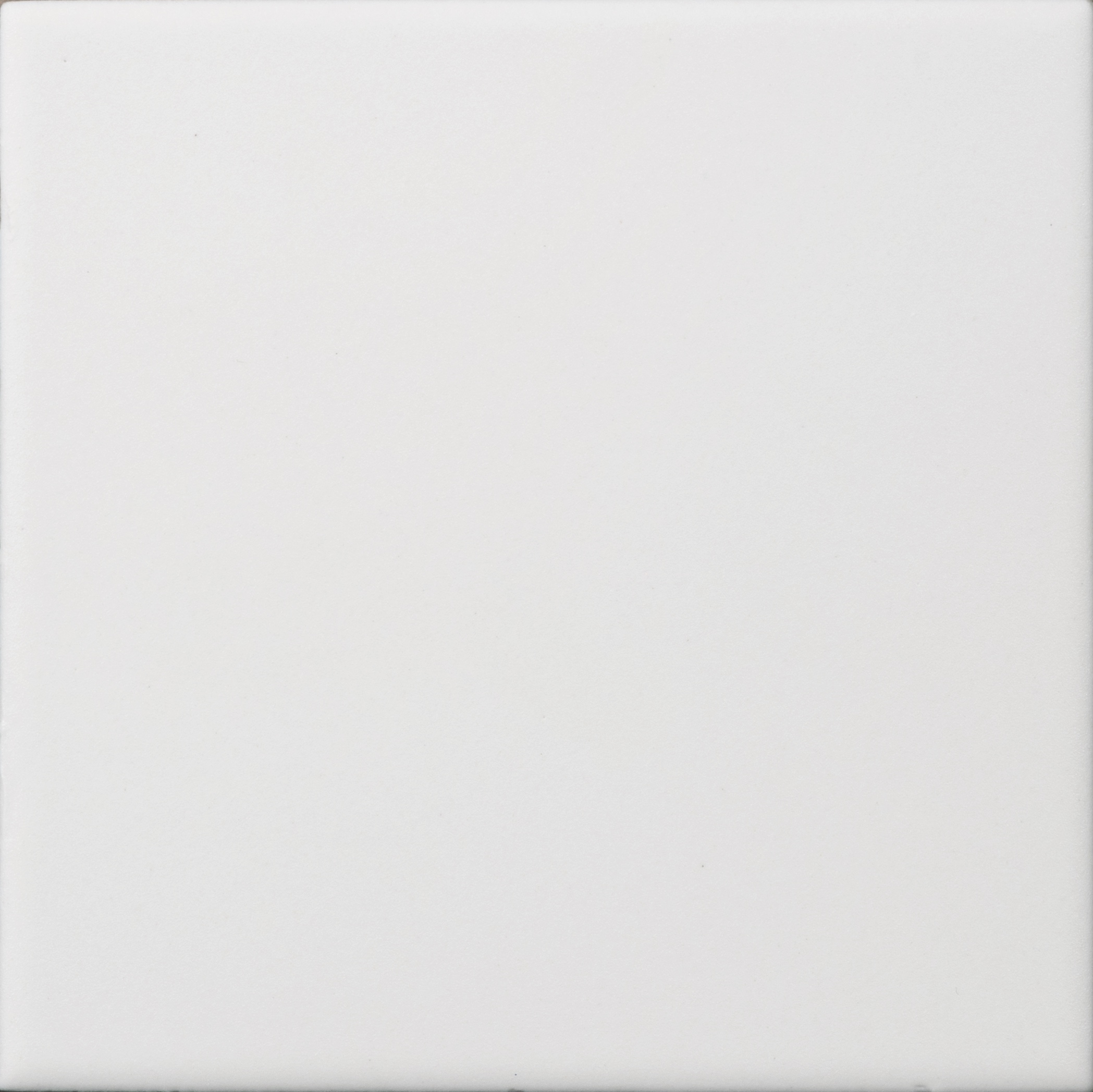 Abaco Blanco 10x10