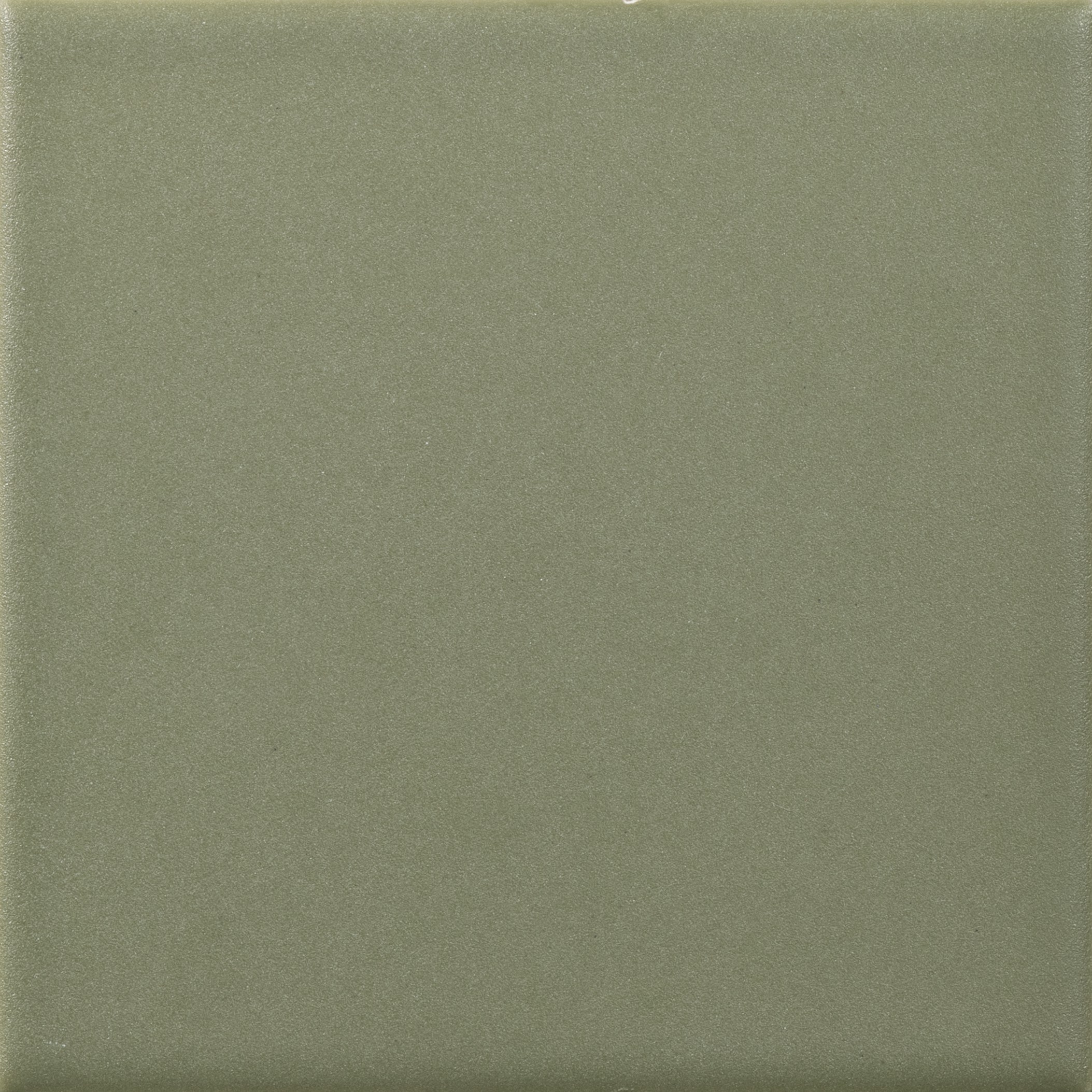 Abaco Flora 10x10